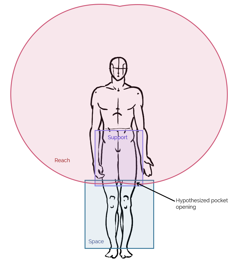 The human body with overlapping regions of reach, space, and support.